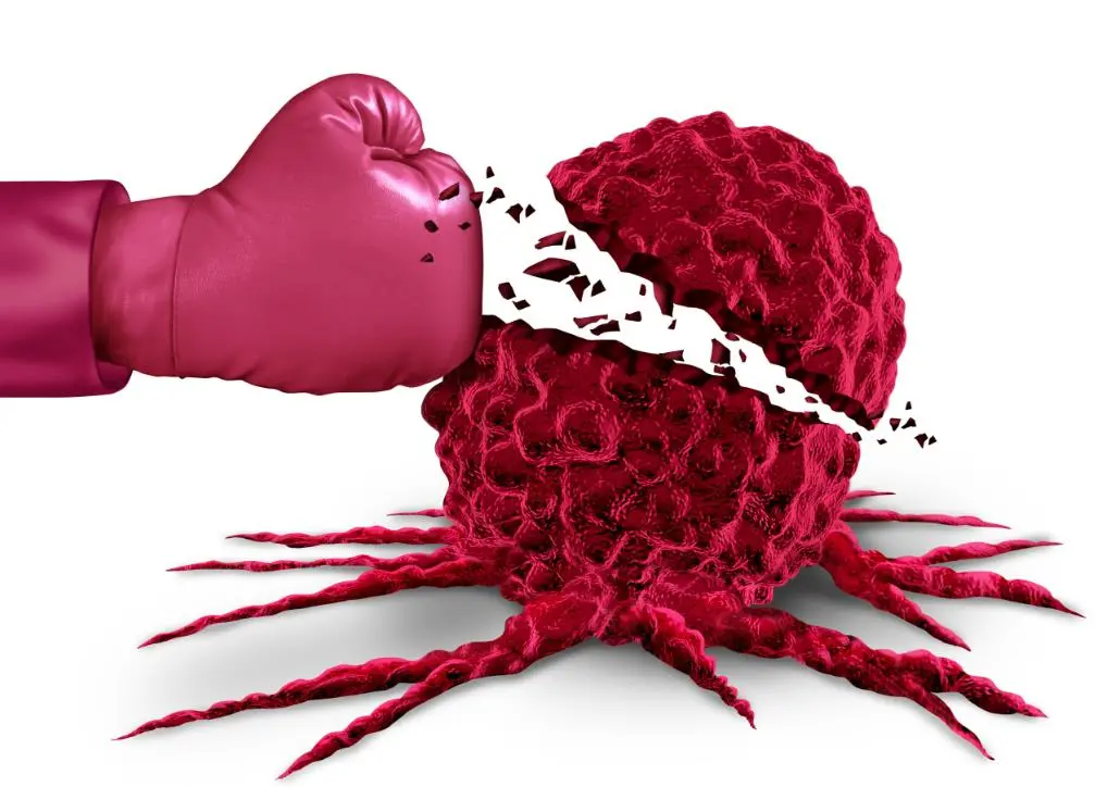 Cancer-Fighting Properties.jpg